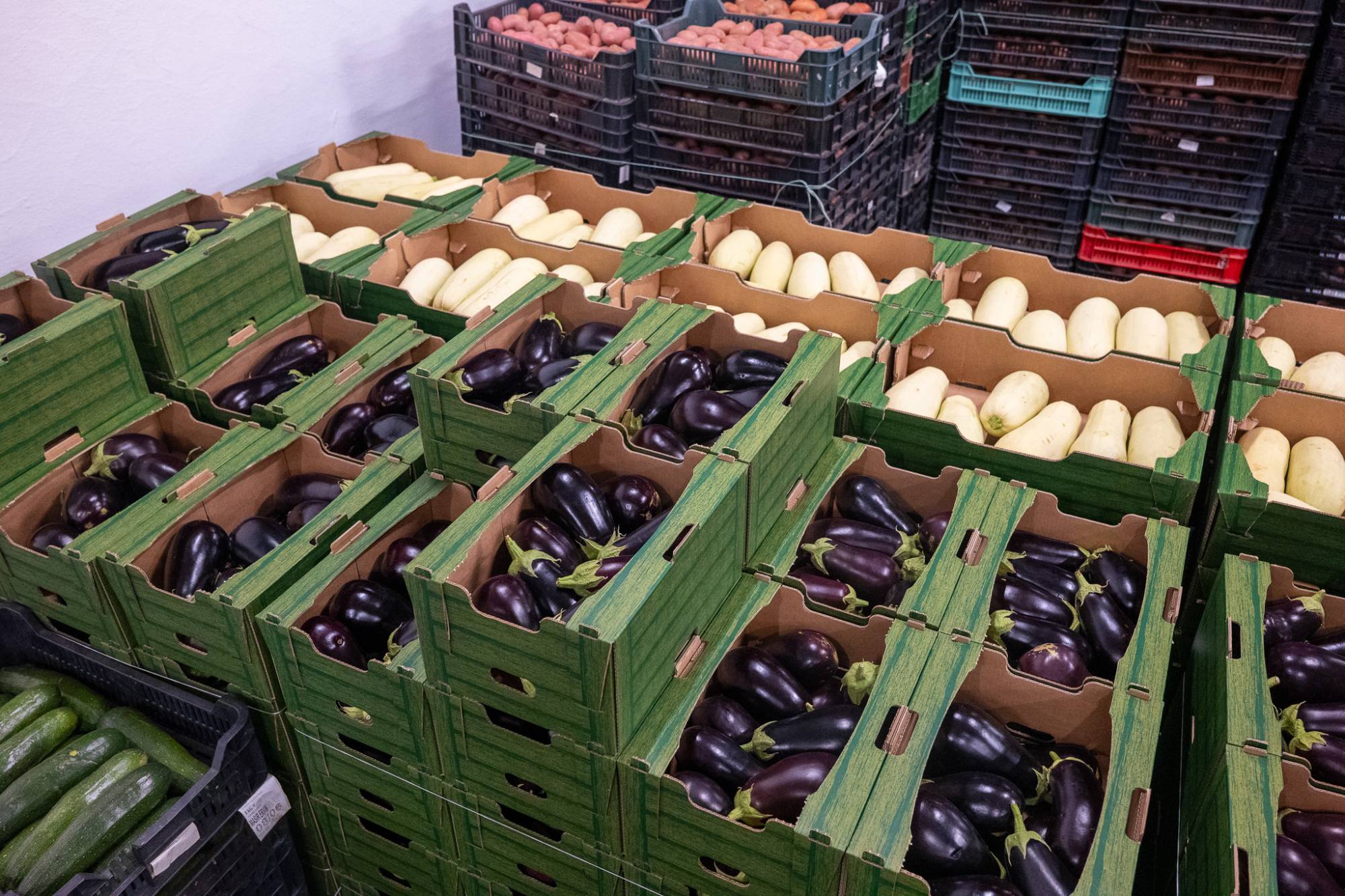 Friss padlizsán és főzőtök zöld kartondobozokban a Forrásker-Tész raktárában